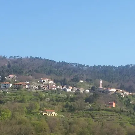 Il Pergolo