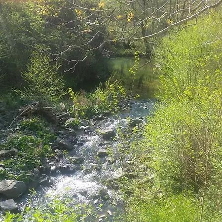 Il Pergolo Oda ve Kahvaltı 3*
